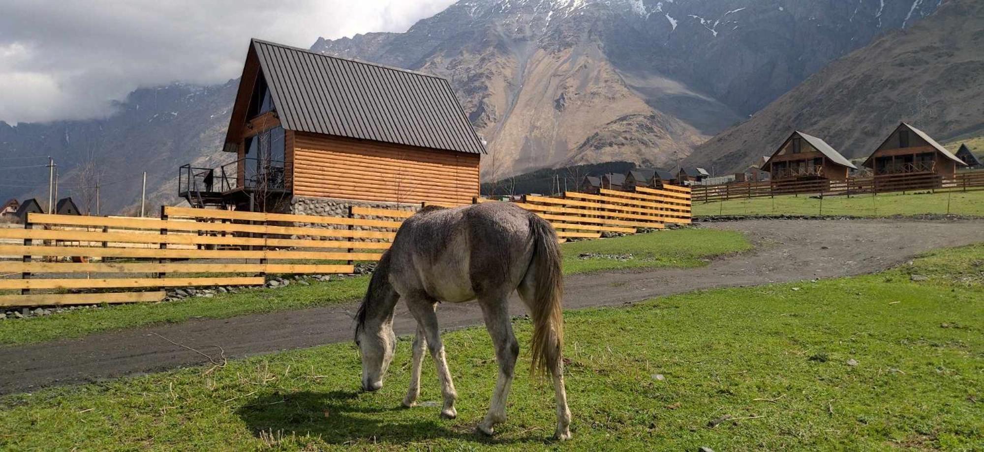 Traveler'S Cottages In Kazbegi Dış mekan fotoğraf
